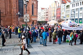 Demokracja po elbląsku, czyli pikieta KOD