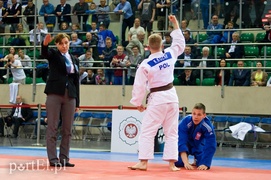 Judo w kolorze srebra i brązu