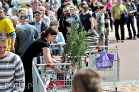 Można powiedzieć, że śmieci zakwitły