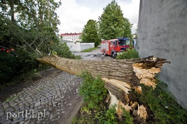 Wichura dała się we znaki