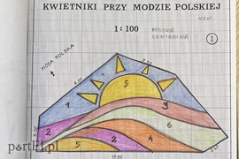 Kwiaty nie tylko dla turystów