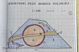 Kwiaty nie tylko dla turystów