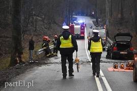 Kierowca golfa zginął na drodze do Tolkmicka