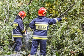 Strażacy kontra żywioł. Wielkie ćwiczenia we Fromborku