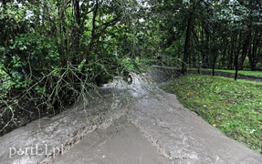 Elbląg i region walczą z powodzią. Najgorzej jest na Związku Jaszczurczego (aktualizacja z godz. 15.30)