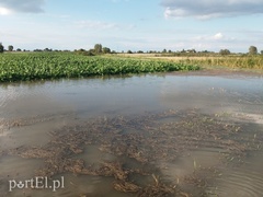 Ulewa nie oszczędziła terenów wiejskich  (List czytelnika) 