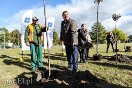 20 wiśni na dwudziestolecie PWSZ