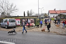 Pobiegli ponownie na sześć łap