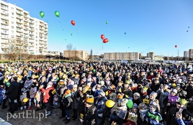 Trzej królowie jadą, złoto, mirrę kładą