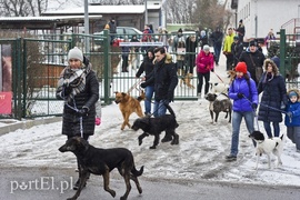 Zimowy spacer na sześć łap