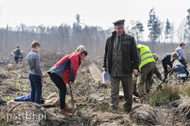 Niech się lasy pną do góry