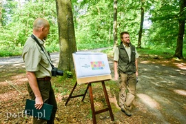 Ostre cięcie, które wyjdzie na zdrowie