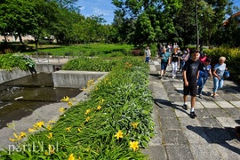 Miasto nowych ludzi, czyli jak zaczął się Elbląg