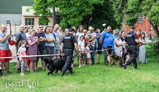 Zabawa z policjantami