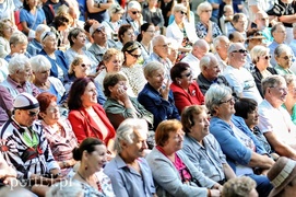 Piosenka jest dobra  na wszystko