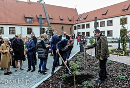 Czytanie będzie miało zapach lawendy