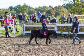 Pony Cup 2019 zakończony biegiem św. Huberta