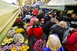 Elblążanie odwiedzają groby bliskich