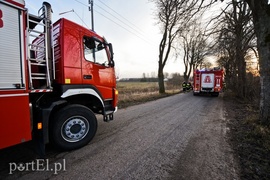 Nastolatka uderzyła w drzewo