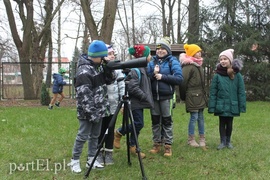 Wielkie liczenie ptaków