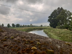 Na rower z portEl.pl : Po Żuławach Elbląskich  (odc. 3) 