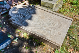 Historyczne odkrycie w parku Traugutta. Co jeszcze może skrywać dawny cmentarz?