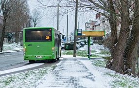 Zielony autobus ulicami miasta mknie...  (nasz raport z funkcjonowania miejskiej komunikacji) 