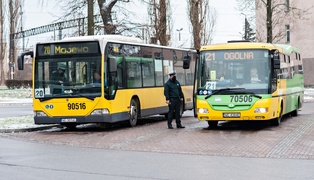 Zielony autobus ulicami miasta mknie...  (nasz raport z funkcjonowania miejskiej komunikacji) 